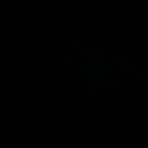 Meet your Posher, Benny